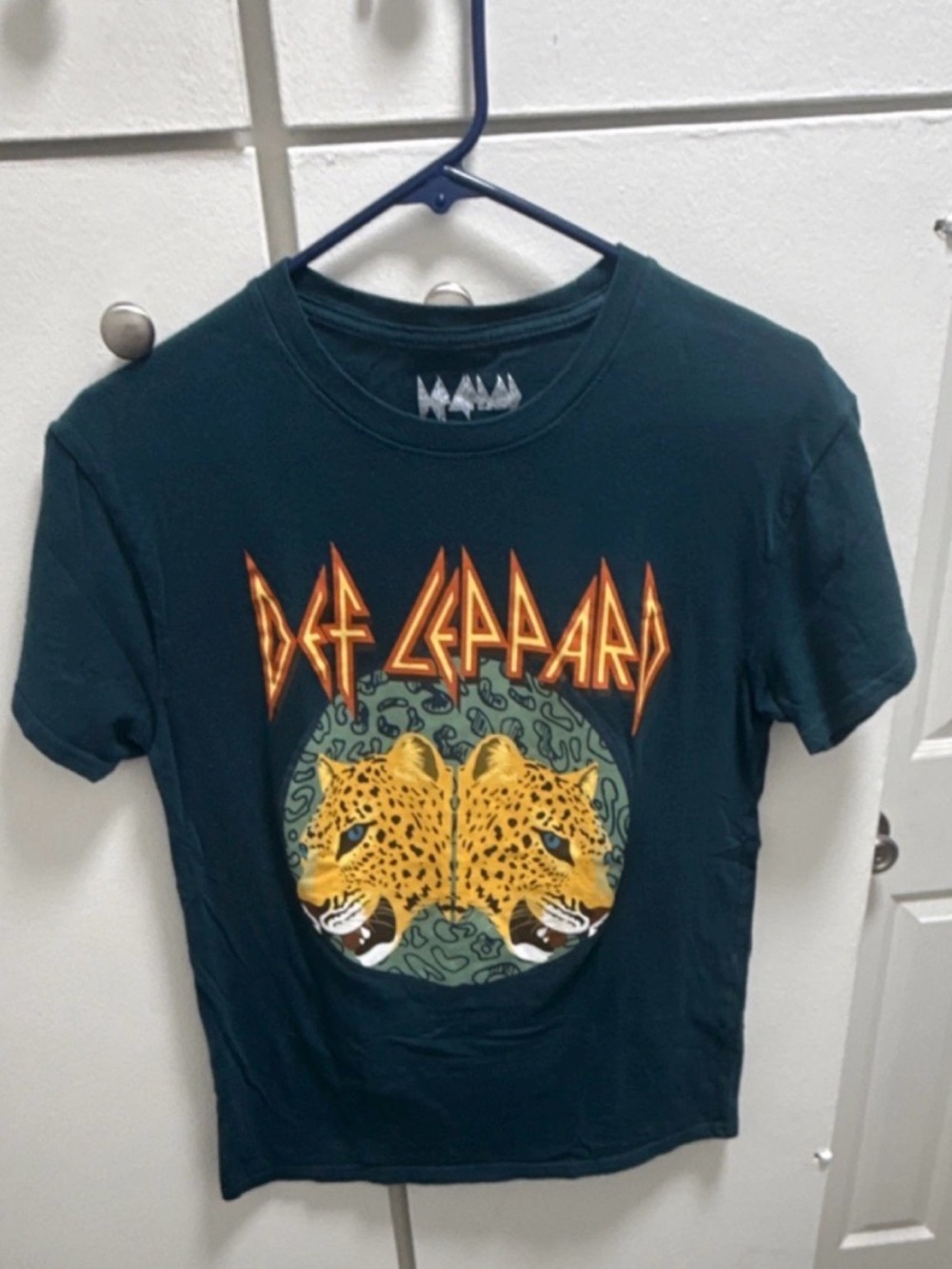 Def Leppard Graphic Tee in Teal Green